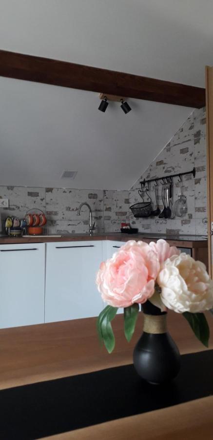 Apartman Megi & Studio Apartman Tomi - Self Check In Krapina Buitenkant foto